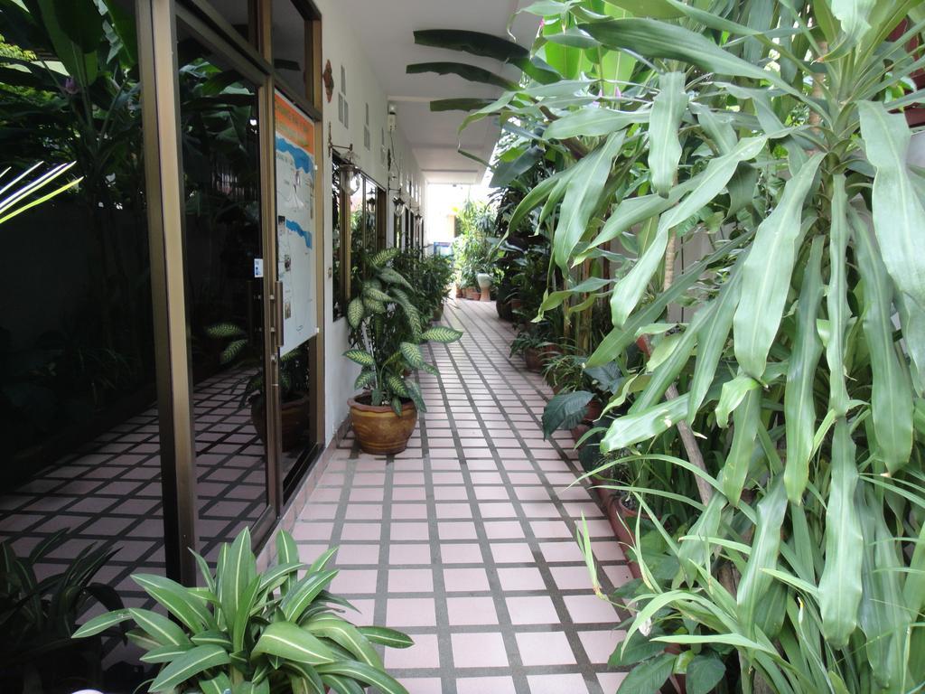 The Red Hibicus Guest House Chiang Mai Eksteriør bilde